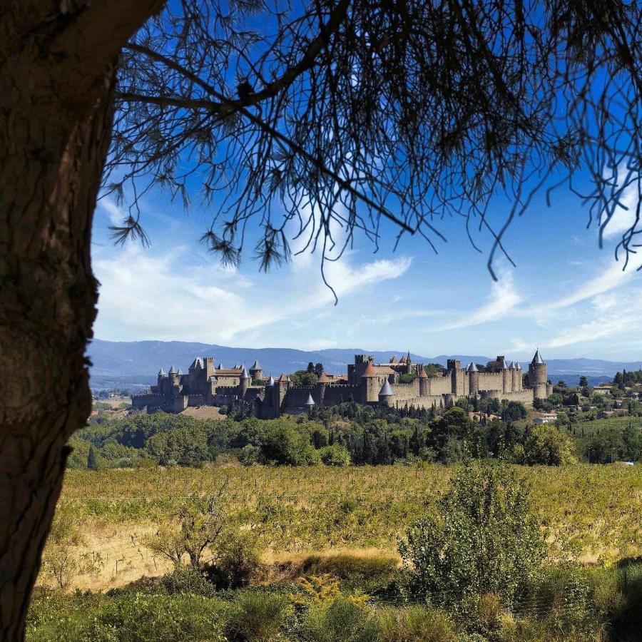 Maison De Margot Peyriac-Minervois Екстер'єр фото