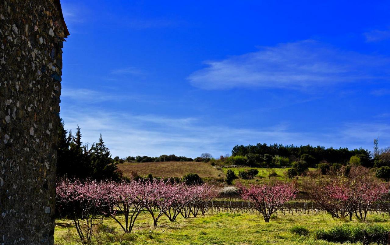 Maison De Margot Peyriac-Minervois Екстер'єр фото