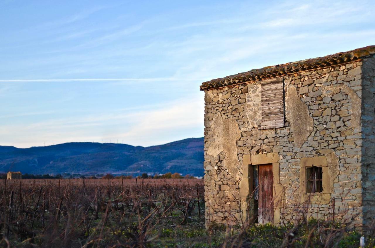 Maison De Margot Peyriac-Minervois Екстер'єр фото